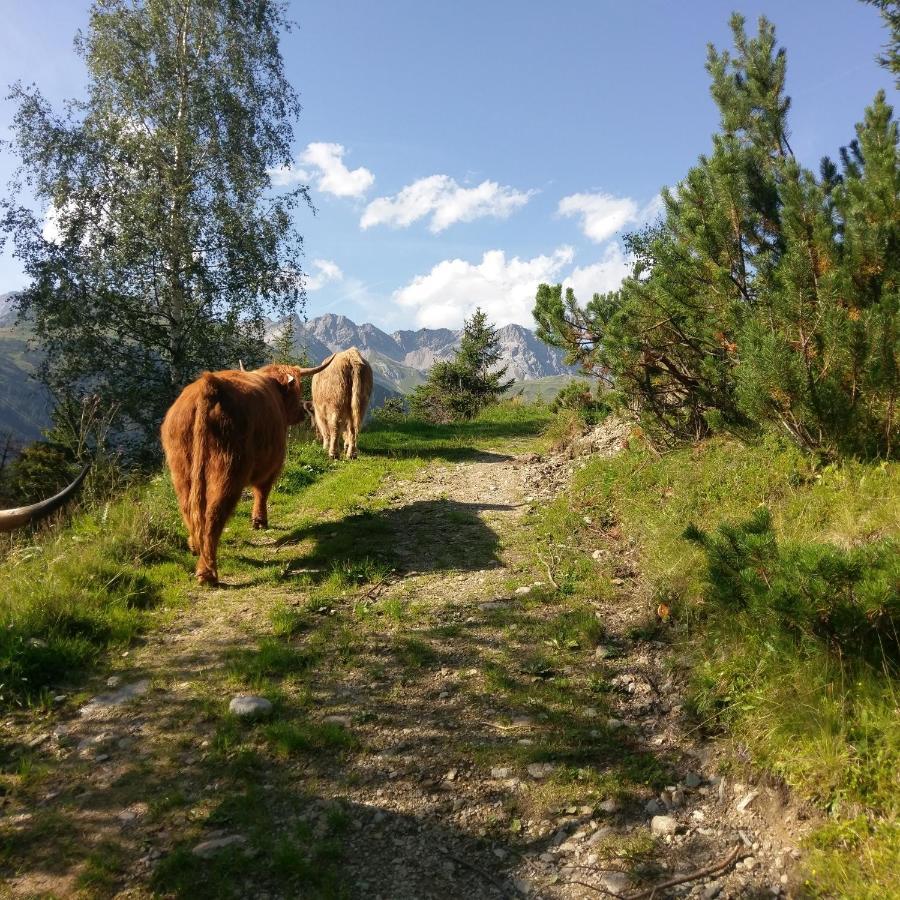 Stier Apartment Sankt Anton am Arlberg Kültér fotó